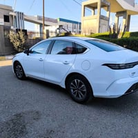 فول اوبشن • ٧٦٠ كم • رقم كاتي