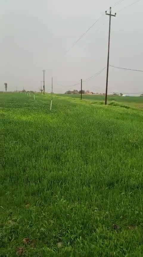 ارض زراعيه للبيع في الطيوب منطقة الببندر دونمين تبعد عن شارع الدور كيلوين ونص بيها بيتين وبير، غطاس محوله ام الميه وماي اساله سعر مناسب الارض والبيوت وبقية الخدمات ب48 مليون وبيها مجال ترهم مراوس في عقار بسامراء الاتصال على ***********
