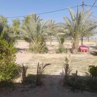 دونم • بيت و حديقة • كربلاء الإبراهيمية