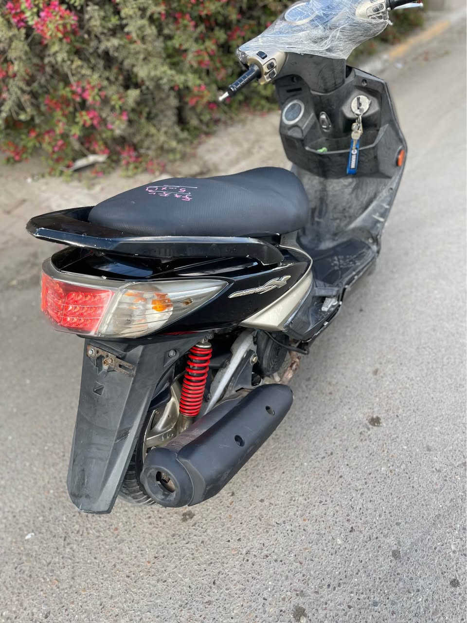 سكنس فحل طلعات نوزل خطين دراجة كلش نضيفة كل نقص مابيه من عد كلجات تعبانة مال شلعة معدل ١١٠ اذا مو طيران معدل مرجوعة دراجة تاخذه تترحملي نكرة سلف بكل وقت دراجة كلشي شغال بيه اشاير عداد بازين عداد سرعة كلشي يشتغل بيه رون كلة شغال عارضه 675 بيه مجال او مراوس واخذ فرق يرحم ولديكم مو شراي لا يتصل ويضل يسأل كلمن وحلال متواجد اي وقت رقمي ***********شراي ولعدنة مراوس وتساب يجي مكاني بغداد شعب بغداد, العراق
