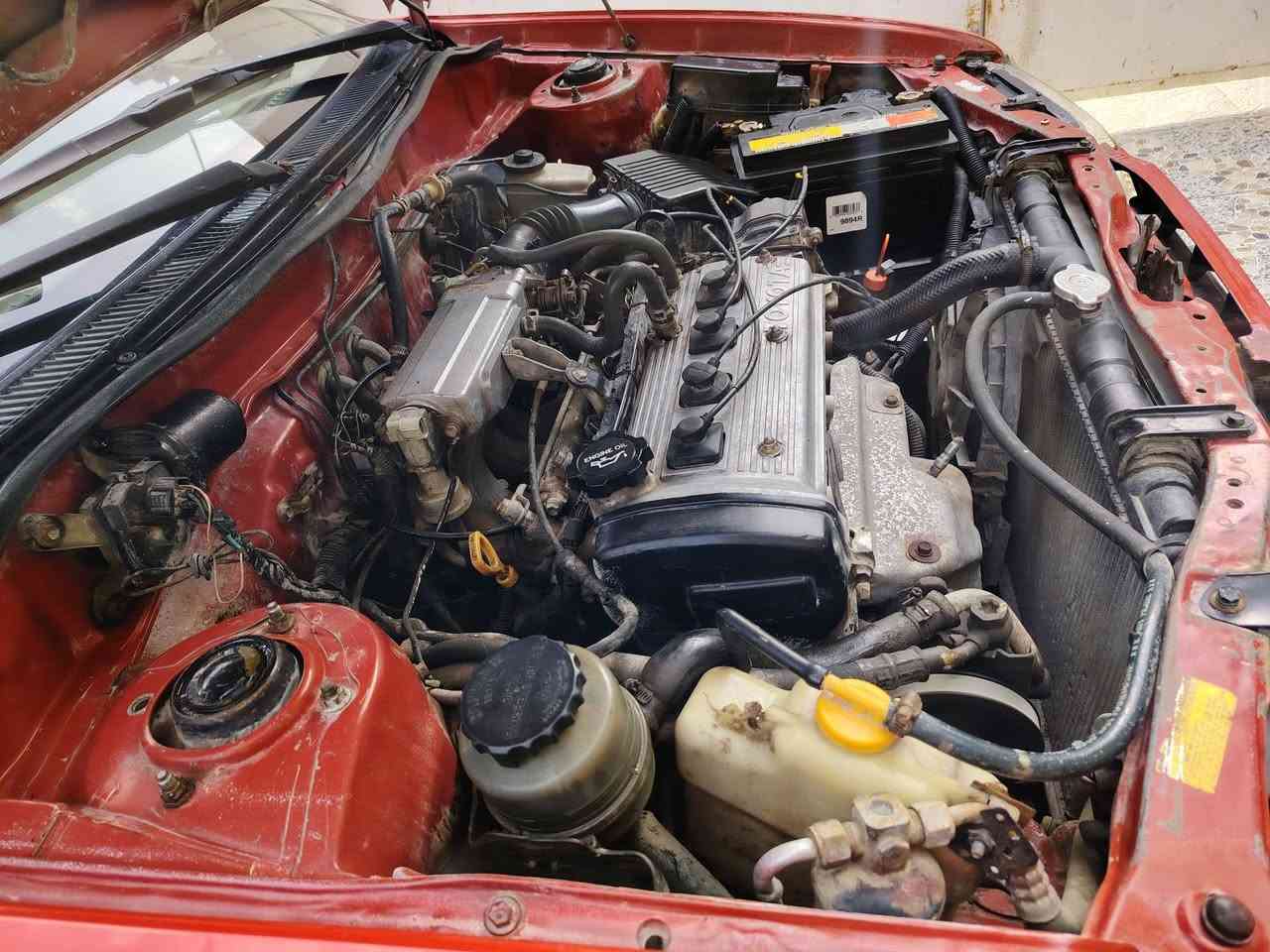 كورلا تيرسل موديل ١٩٩٤ رقم ذي قار ألماني مشروع وطني تحويل مباشر سنويه نافذه
مكينه وكير  شرط الفحص لاتبخير ولاتنقيص

حداديه جديده

تخم تاير +ويل كب

كهربائيات كلها شغاله+دواخل حيل جديده  دسبول كلش جديد

السياره مكفوله من الضربه والتبديل والفتح

بيها فقط صبغ جماليه أثر جراد

سياره عظم صاحي ومكفوله كفاله من كافة العيوب الشرعيه

السعر ٤٥ وبيها مجال حكَ الجيه للإستفسار اتصل على الرقم *********** مكاني ناصريه حي الشموخ
