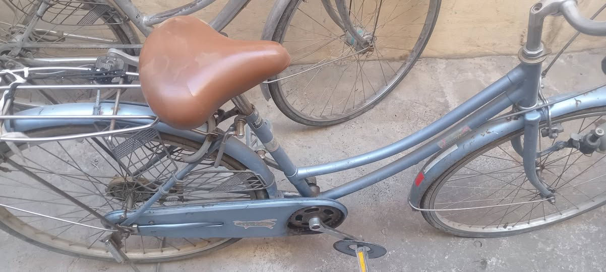 للبيع
باسكلاين للبيع لتواصل خاص


**إذا كنت صاحب هذا الإعلان وتريد حذفه لأي سبب، رجاءا أرسل رسالة إلى الدعم الفني**