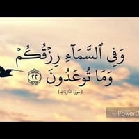 فرن بحاجة إلى كادر كامل   طلبية ٣ وجبات باليوم   ٥٠٠طاولي    بغداد الم...