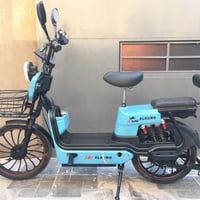 ديالى • دراجات شحن • موديل 2025