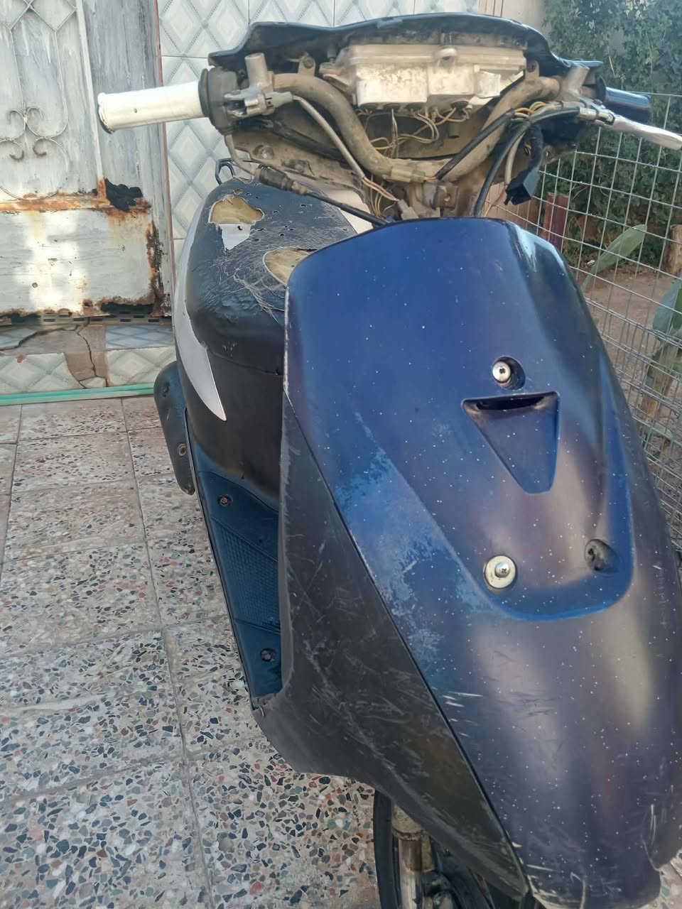 سلام عليكم شباب دراجه للبيع دراجه سازوكي جنطه دراجه تخبل مكينه شرط نعومه وشلعه ومعدل ب٥٥ شرط تأيرات جدد ودراجه مفتوحه بس بوشه وبستم وكفراتهاا ماموحدات وسعر ١٣٠ بيهاا مجال قليل جدن ومكان حولي الاف دار شراي خاص


**إذا كنت صاحب هذا الإعلان وتريد حذفه لأي سبب، رجاءا أرسل رسالة إلى الدعم الفني**