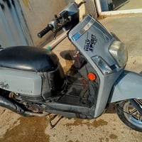 ماكس بوليس • نوزل • ديالى بلدروز