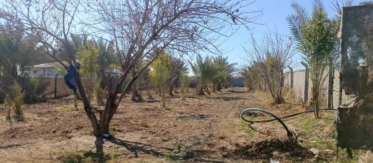 بستان صغيرة 500 متر للبيع طابو زراعي سند 25 تتوفر فيها جميع الخدمات ماء اساله وماء سقي وكهرباء ومسيج بالكامل الواجهه 25 متر والنزال 20 متر العنوان بغداد ناحيه الراشديه السعر 35 مليون وقابله للتفاوض للاستفسار الاتصال على الرقم *********** مكتب العبيدي للعقار
