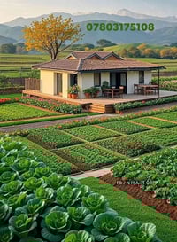 طابو زراعي • قطع أراضي • قضاء المشخاب