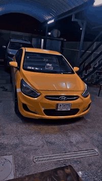 اكسنت للبيع موديل 17 وارد أمريكي محرك 1600 جي دي اي جاهزة من كل النواحي ما بيهة اي نقص كير محرك مكفول تدفئة تبريد صدر امامي خلفي كل خير من الله السياره رقم بغداد بأسمنه تحويل مباشر صور السونر مرفقة بالمنشور للعلم السياره ما مشتغله تكسي امانه الله السعر 95 وبيهة مجال حگ الجيه مكاني البلديات شارع المصرف للاستفسار الاتصال ‭0773 721 9622‬ ما ارد ع التعليقات ولا الخاص تحياتيً..
