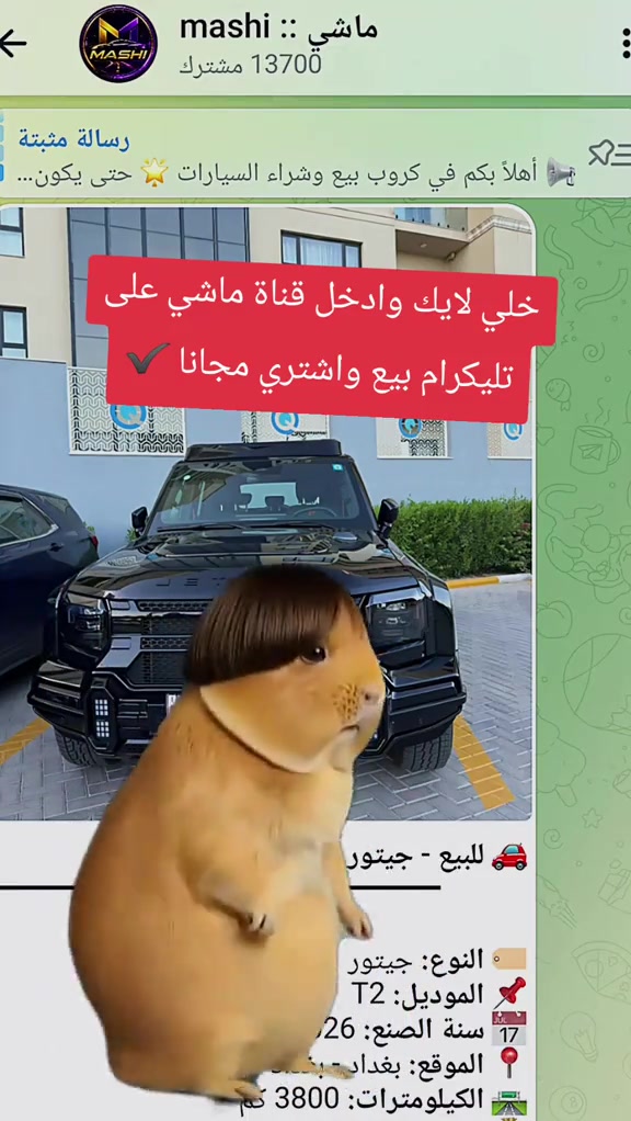 #CapCut 


**إذا كنت صاحب هذا الإعلان وتريد حذفه لأي سبب، رجاءا أرسل رسالة إلى الدعم الفني**