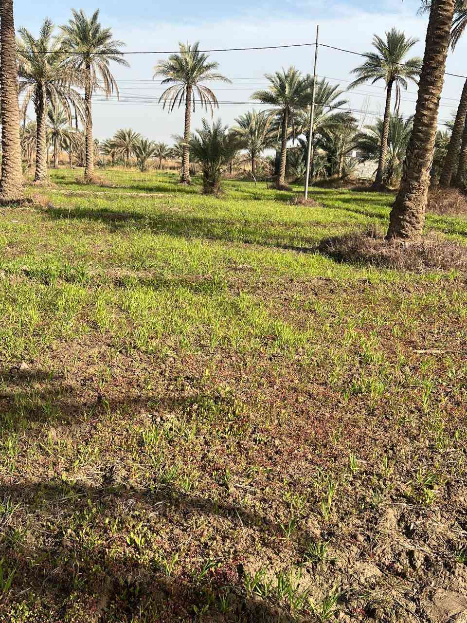 سلام عليكم.....
يوجد دونمين للبيع طابو سند 25 ....العنوان  كربلاء طريق اطوريج قرب المعهد التقني...يتوفر كافه الخدمات ...الاستفار اكثر  يتم الاتصال على الرقم الاتي....***********
اوالتواصل مع الشخص حمزه الكربلائي
