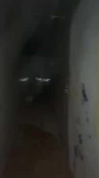 ريه وسكينه • قريب قناة • بيت للايجار