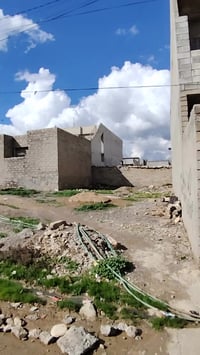 الزيتون • ٢٤٠م • واجهة ١٠م