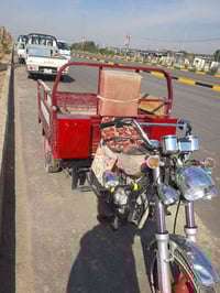 ستوته • كامله • طلع أوراق