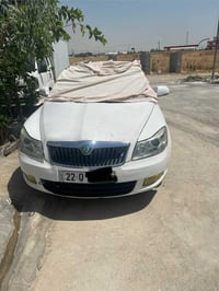 اوكتافيا • جديد • أربيل