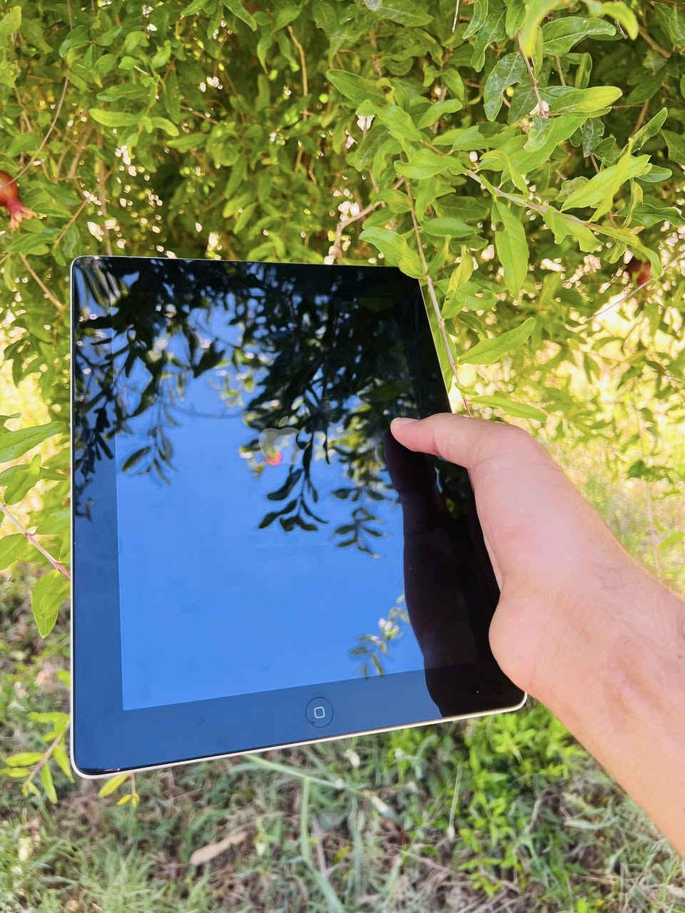 آيبادات ابل للبيع عدد 3 اجهزه
شرط الفحص 
السعر 130 وبيهن مجال بسيط


**إذا كنت صاحب هذا الإعلان وتريد حذفه لأي سبب، رجاءا أرسل رسالة إلى الدعم الفني**