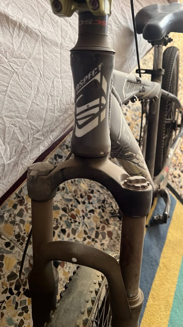 لشه سكوت حجم 26 رياضي السعر ١٠٠ و بي مجال و الغراض ابيعهن تفصيخ وحدهن بريك دسك و ركبه و ستيرن و صدر مكاني بغداد توصيل ماكو


**إذا كنت صاحب هذا الإعلان وتريد حذفه لأي سبب، رجاءا أرسل رسالة إلى الدعم الفني**