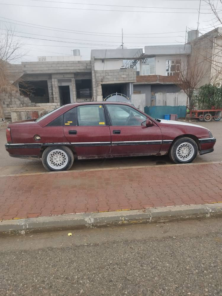 *********** السليمانية, العراق
