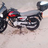 بوكسر • باسمي • جبلي