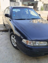 مازده فاصوليا • ١٩٩٤ • بدون ضربه