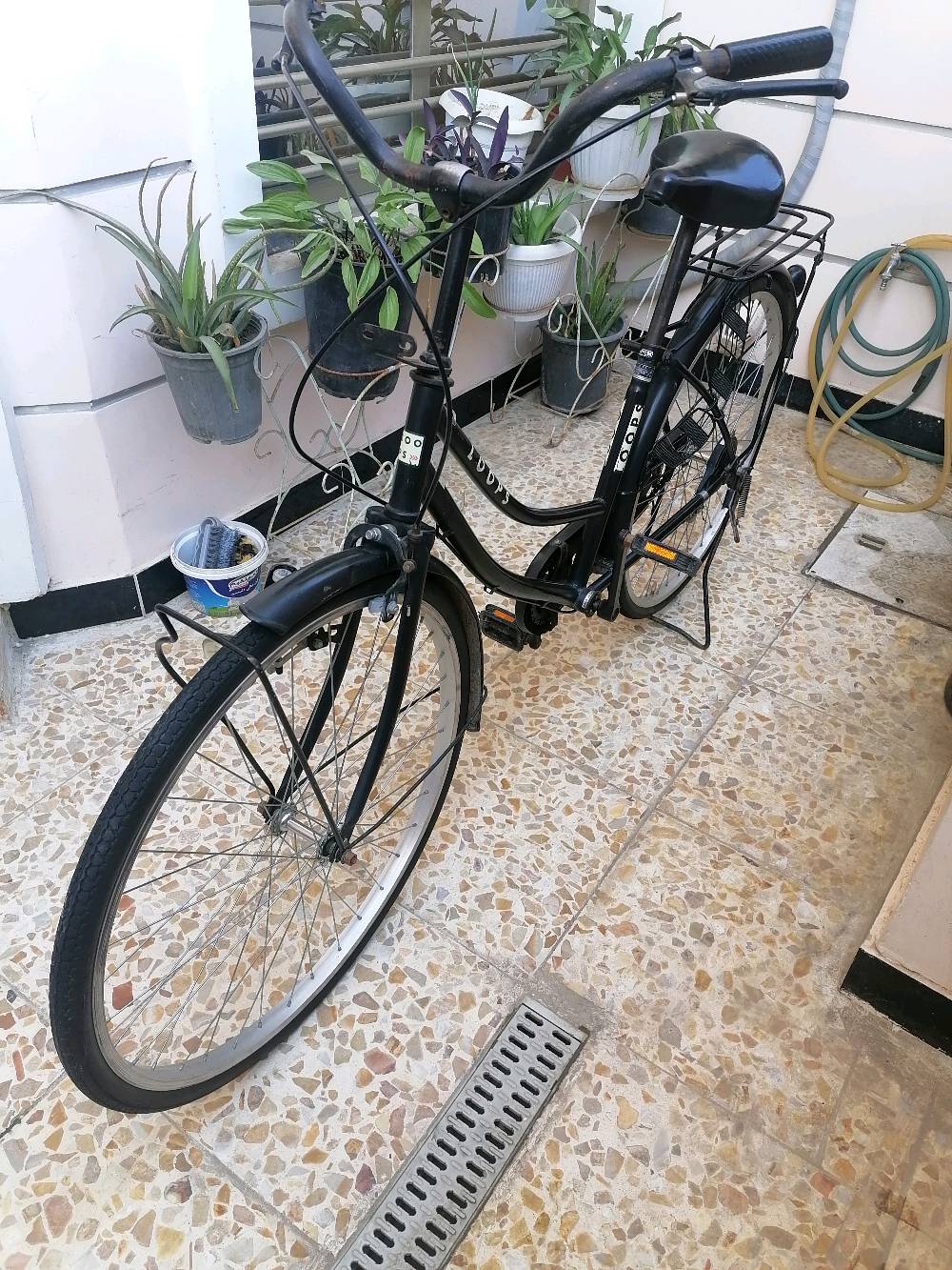 يا الله الهم صلي على محمد باسكل ماركه لوبس شركه عالميه موديل 2017 كفاله نضافه فول حاويه منزله ابيدي الباسكل ما مفتوح بعده كشنه الاصلي ما مبدل و استيرنه ما مصبوغ كامل مكمل طبعا القطعه معروضه للبيع سعره 100 وبيه مجال بسيط مكاني بغداد البياع الباسكل كامل للتواصل اكثر واتساب ***********