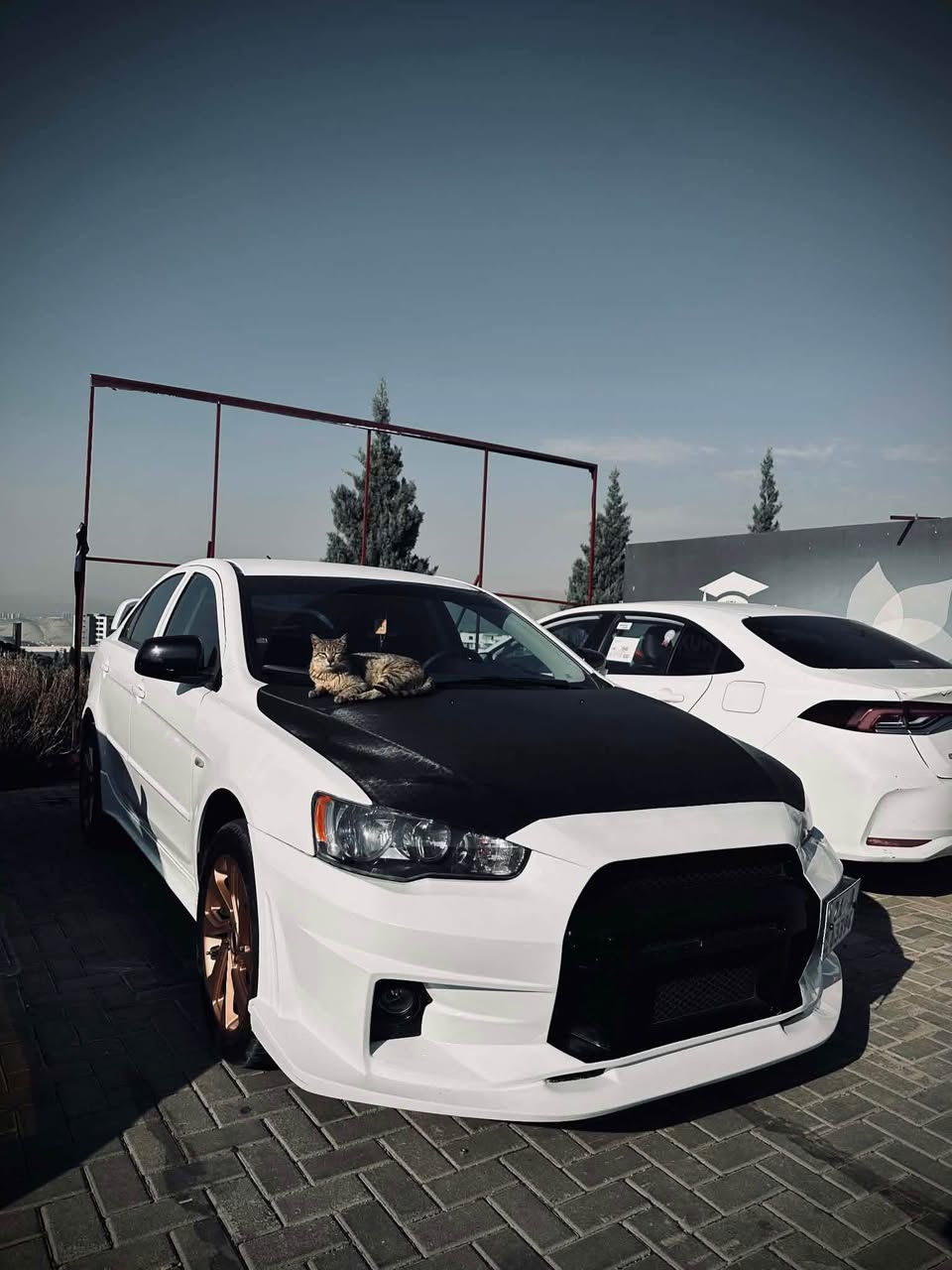 ٢ پارجەی پەمپە بی ناو  لە سلیمانیم  کامل کراوە بەسپۆرت   ٤ تایەی تازەیە سەنەوی  بناو خۆمەوەیە هەتاوەکو ٢٠٣١    هەموو گیانی بەشەرت  *********** السليمانية, العراق
