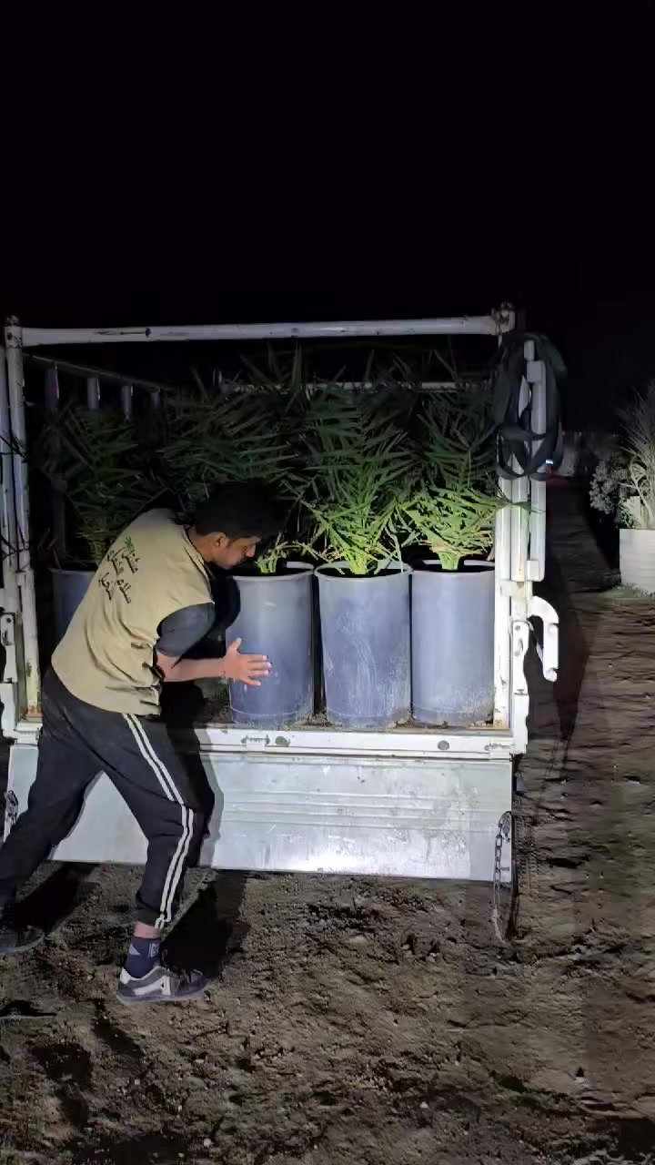 ***********
***********
