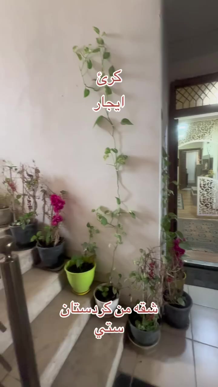 شقه للإيجار من مجمع 
كردستان ستي 
يقع على شارع 150
تحتوي على غرفتين وصاله وهول داخلي
سعر الايجار 350$
لمعرفه تفاصيل اكثر
***********
