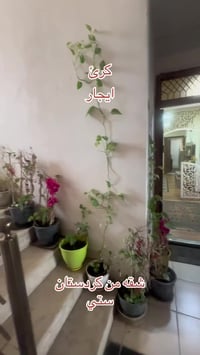 كردستان ستي • غرفتين • شارع 150