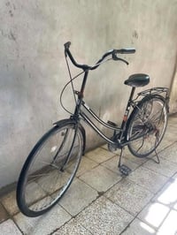 بازكل • اسود • سومر