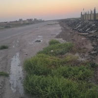ع بركه الله قطعه البيع مساحه 150متر  واجها مباشر ع الحوالي السايدين  ت...