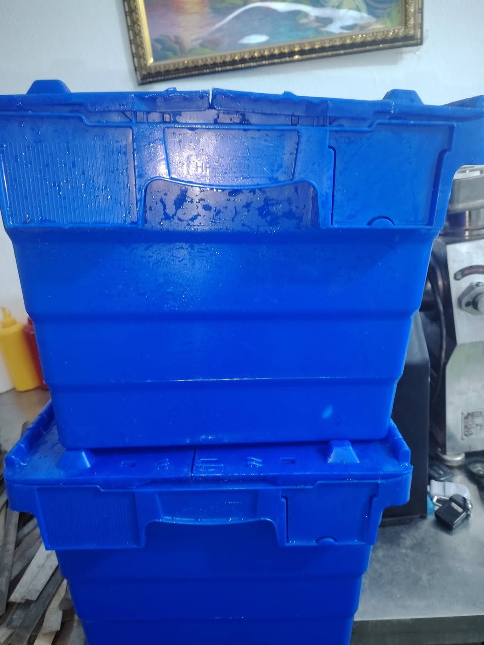 شياش عدد 200شيش +بلاكات عدد 5بصفي ويهن كاملات +مفرغه +مغسل البيع شراي يتصل ***********+صناديق صمون جدد
