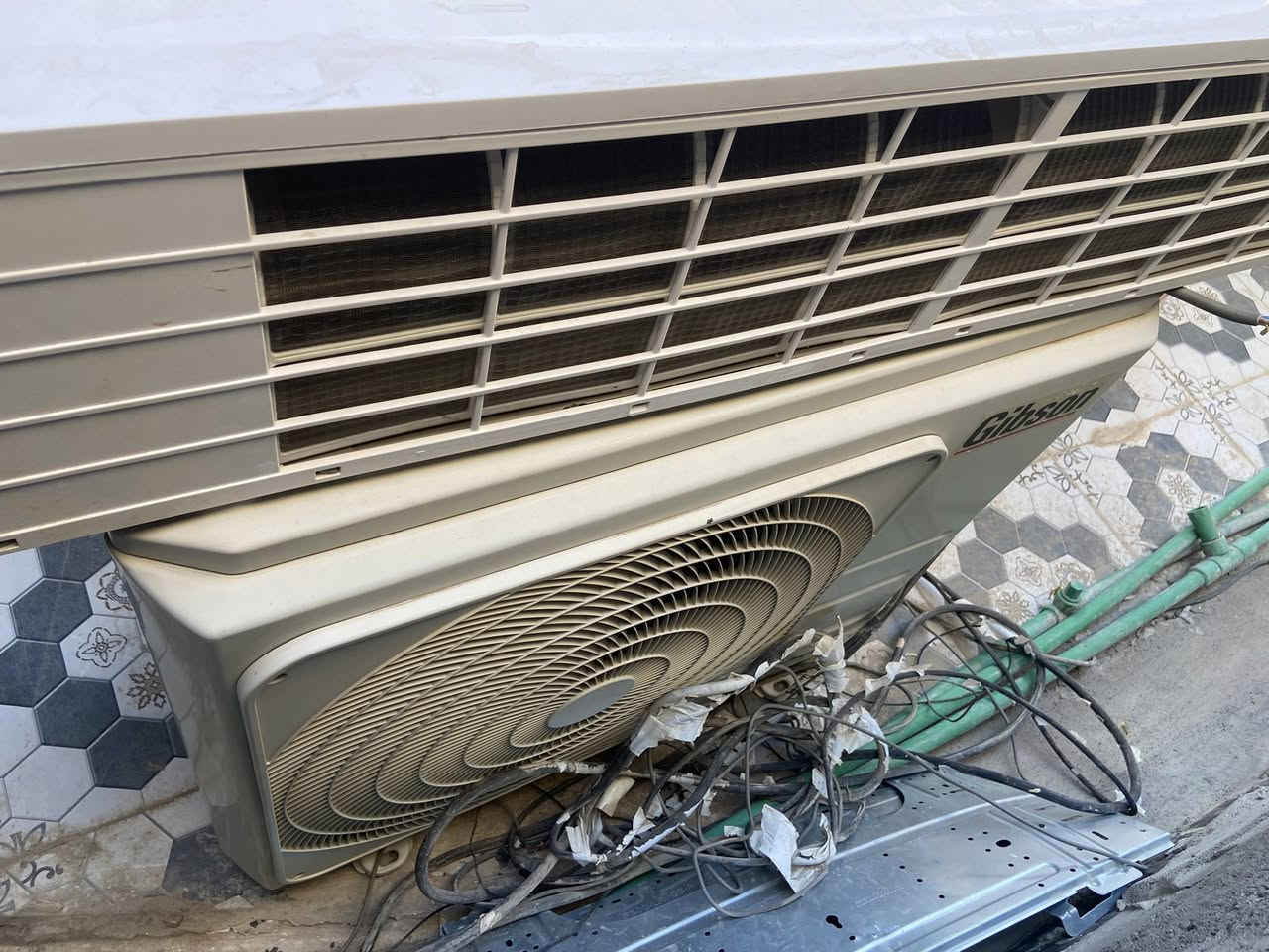 سبلتين ٢ طن نظيفات وعلى الفحص سعرهن ٧٠٠  مكاني بابل / جبلة / ***********
