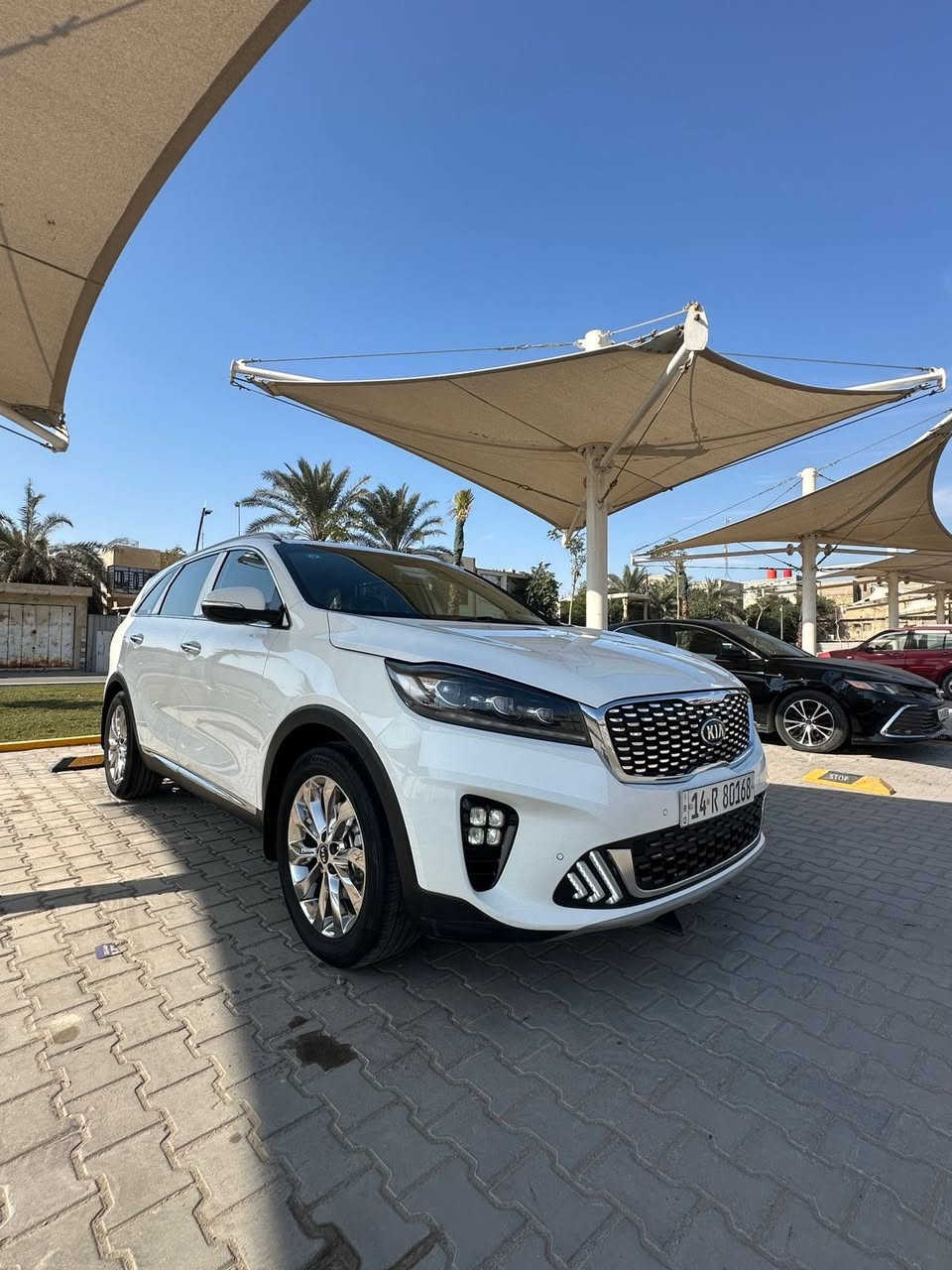 السلام عليكم
كيا سورينتو  2019 خليجي رقم بصرة بأسمي تحويل ثاني يوم هزة جديدة
كفالة عامة ماعده شخط خفيف سحب كارت 
…………………………………………………
المواصفات 
6 سلندر
دبل شباك 
صندوك كهربائي 
سايد بريك بصمة 
تبريد 3 قطع 
بصمتين 
كشنات كهربائية 
حساسات خلفية 
حساسات امامية 
كاميرة خلفية 360 درجة 
اشارة مرئي 
مرايات شفط 
شحن واير لس 
………………..
كير مكينة كفالة من كلشي 
حدادة 
تخم تايرات
ماشية 76 km
السعر 242
***********
***********
