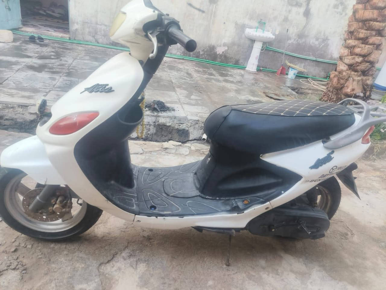 دولفين فحل ياباني كهربايات شغاله سلف نعومه معدل نضافه شوفت العين ٣٠٠ بيهه مجال


**إذا كنت صاحب هذا الإعلان وتريد حذفه لأي سبب، رجاءا أرسل رسالة إلى الدعم الفني**