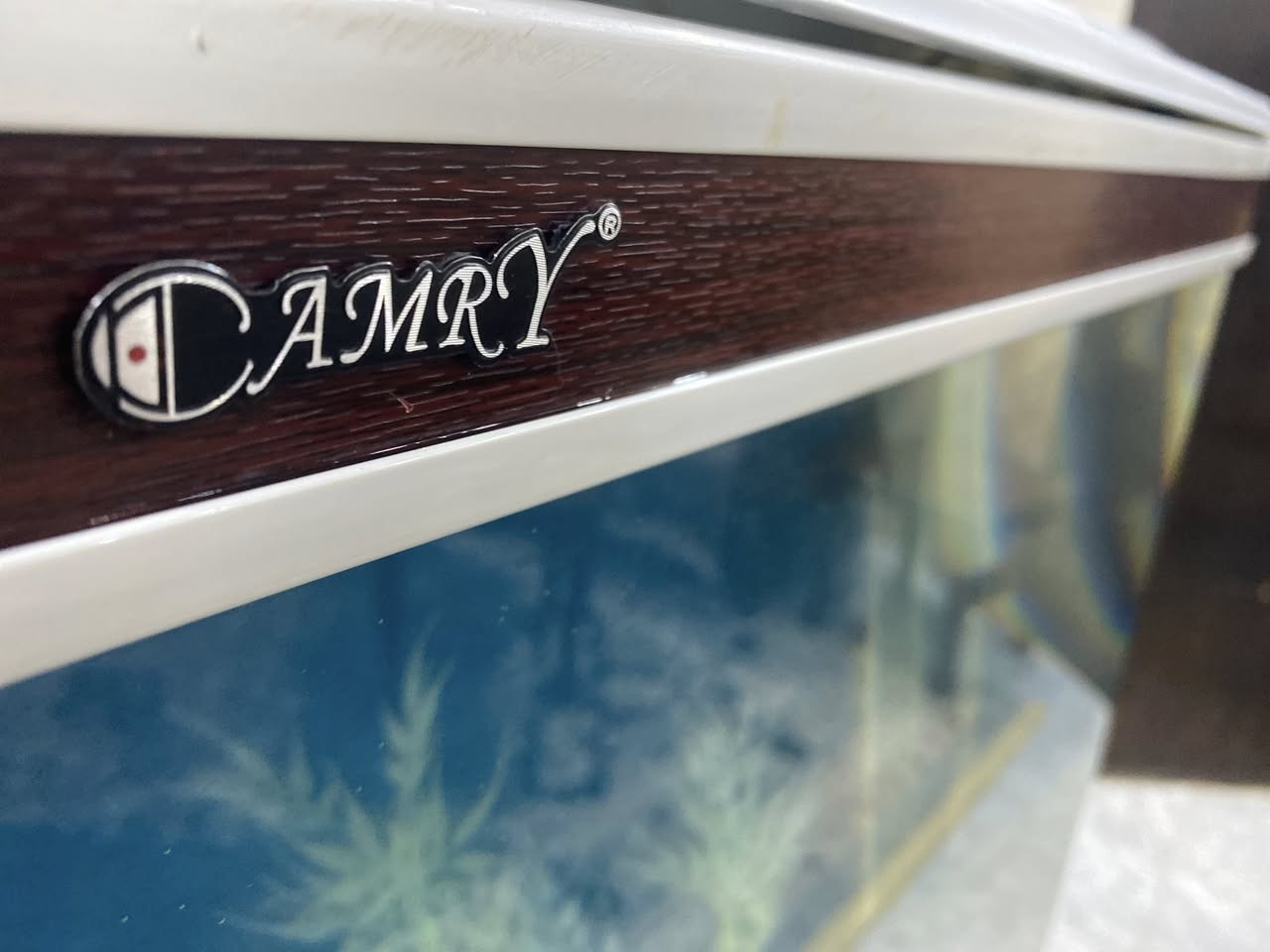 سلام عليكم شباب 
حوض كامري ابيض فول نظافة جاهز من كلشي 
اناره
فلتر 
هيتر
جهاز اوكسجين
رمل وشجره ضوئية
علبه اكل 
للبيع مكان السيديه تفاصيل اكثر خاص او الاتصال ***********
