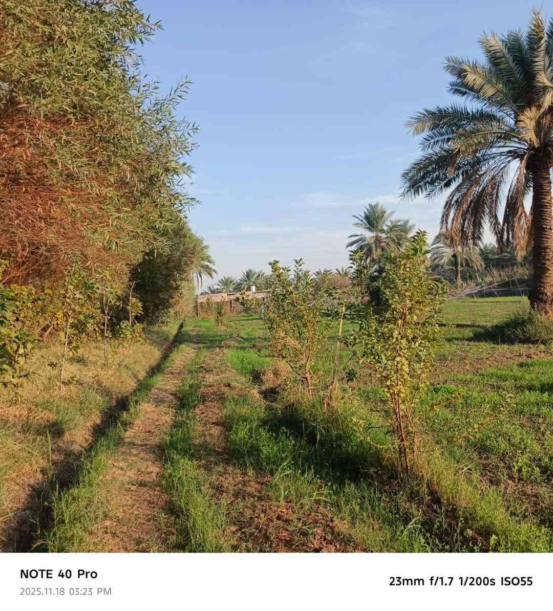 بستان للبيع ٢ دونم طابو سند ٢٥ عزيزيه برينج الكطع طريق الزوار بداية الكطع وجه على التبليط ماء سقي من الشط مباشر وكهرباء وماء اساله للاستفسار ***********
