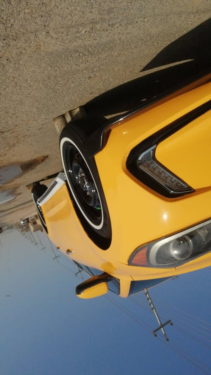 سلام عليكم النترا مديل 20018 سياره مكفوله فقط بس بنيد ول بقي كفله رقم ذي قار حداديه توني شده طخم توير ويل توني شدن تبريد شرط كير مكينه 200 دوش سياره مركيه مانقصه برقي خك بحث مصفر سياره ما نقصه برقي بكان سياره ناصريه مركز يم لعلوه مال مخضر قديمه هذا صحب سياره  ***********
