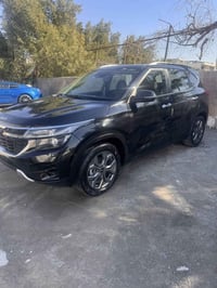 ٢٠٢٤ • بدون صبغ • حادث سرقة