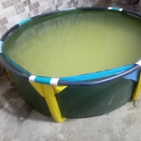 مسبح • ارتفاع ٧٥سم • موصل أيسر