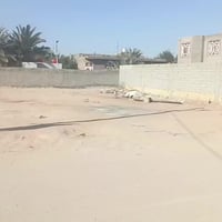 كوفه حي ميسان • طابو زراعي • ١٠٠م