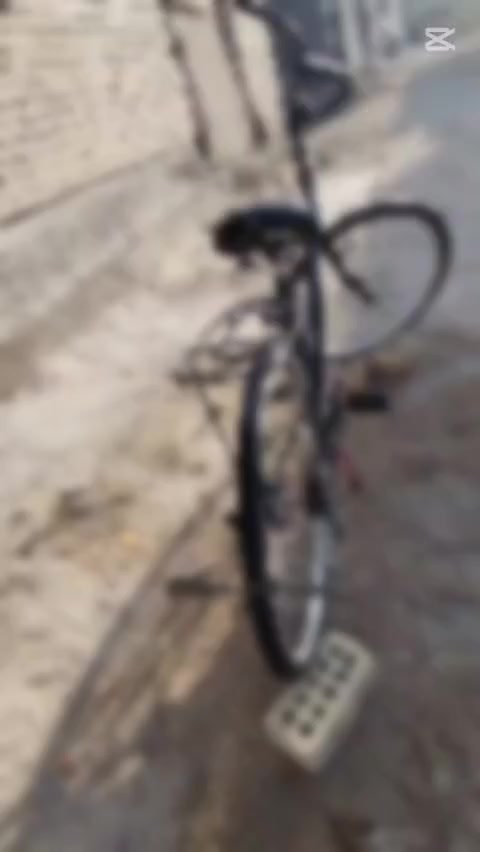 باسكل للبيع حجم26 السعر40 وبي مجال رقم الهاتف فقط واتساب***********
