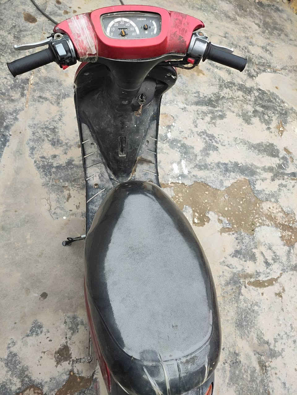 دراجة منغولي فحل للبيع   السعر 350 الف دينار  // *********** واتساب
