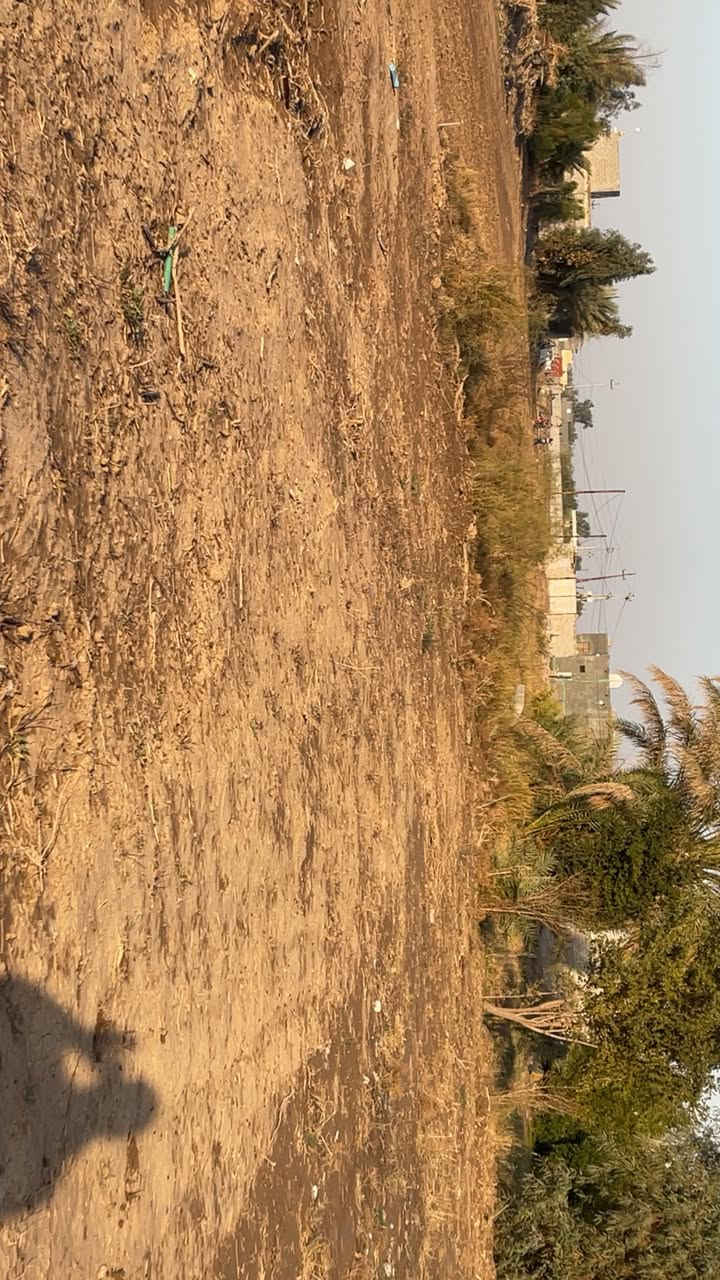 قطعه زراعي سند 25بنهاية حي الكرار 2المساحه 280 
كهرباء وماء وكآمل خدمات
***********
