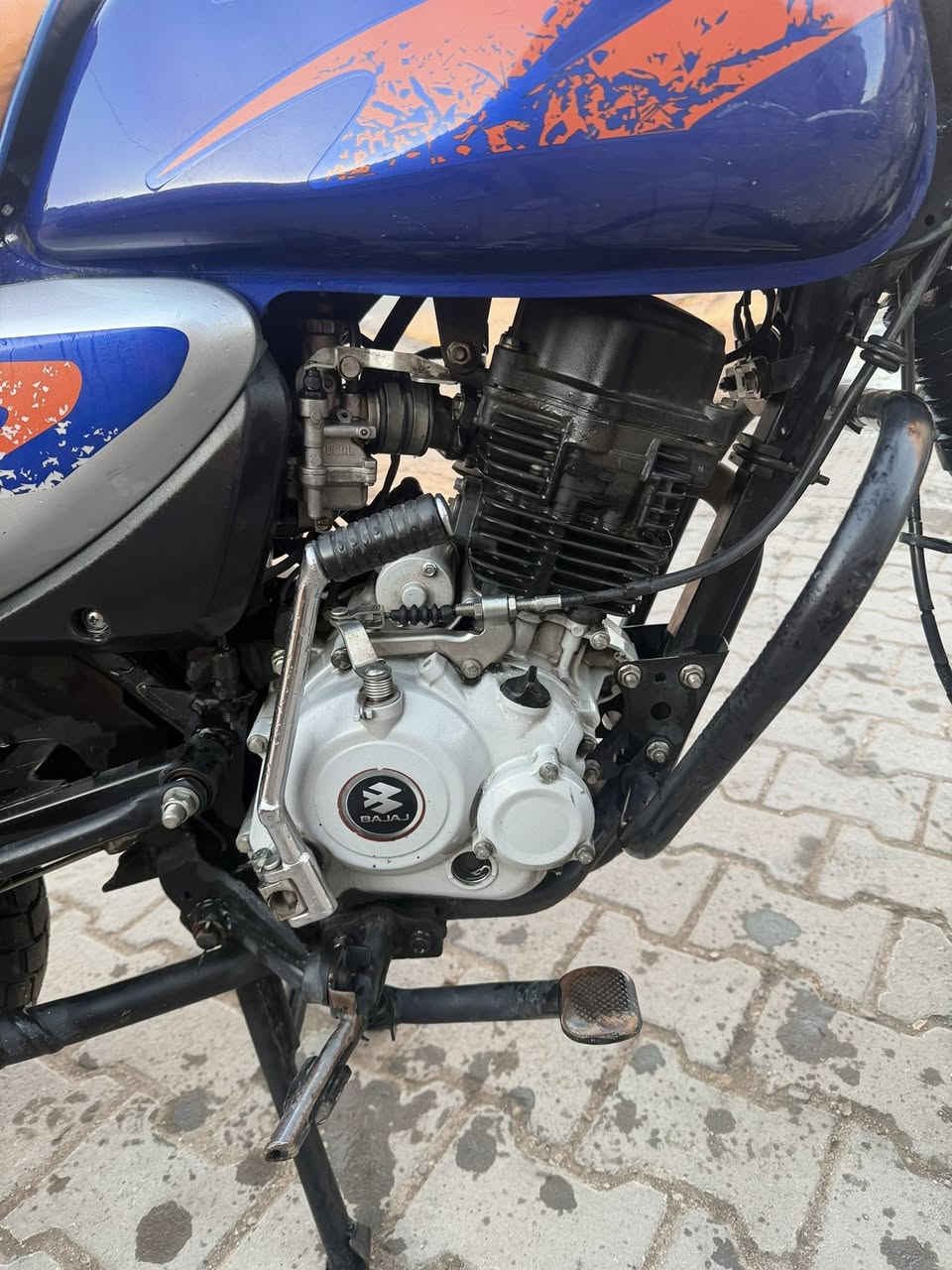 السلا عليكم دراجة بوكسر جبلي لبيع مرقمه بسمي
موديل 2023 دراجه لا مجفته ولاشي وممشتغل بيه دلفري هواي تجي تشوف دراجه تحويل ثاني يوم سعر مليونين وميه وبيه مجال ***********
