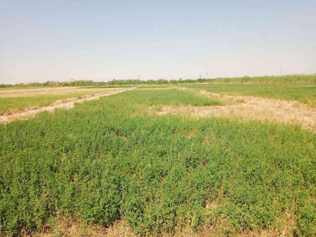 دونمين للبيع في المدائن تكدر تستثمرهن بمزرعه بالي يعجبك🔥
عقد زراعي 117 (رسمي)
- كافة الخدمات واصلة (ماء + كهرباء)
-يوجد بيت جاهز بسقف ساندويچ بمساحة 150 متر
 موقع مميز، مرتب وهادئ. 
سعر الدونم: 30 (قابل للنقاش)
ملاحظه/ البيع مفرد أو كامل
📞 للتواصل واتساب: ***********
