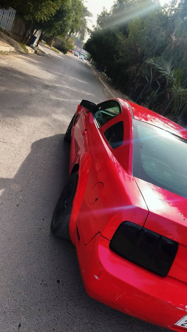 السلام عليكم
للبيع موستنك 2008 
محرك  مال حاويه جديد
كير مال حاويه جديد
محرك 4000 6 سلندر
تخم تايرات جديد 
مصبوغه حزام للجماليه 
شادلها سموك بكلايت 
شادلها اناره دشبول متغيره 
صوته مرتب و بيها فصله مرتبه كلش
مسويلها هزه جديده ما صارلها شهر 
سنويه 2027
باسمي تحويل شوكت ما يعجبك 
مكينتها تخبل شلعتها كلش قويه 
بطناش 1 2 3
السعر 53
للتواصل ***********
