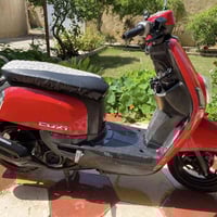 ماكس بوليس • ٢٠٠٨ • محرك شرط