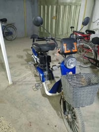 دراجة كهربائية • بابل الاسكندريه • سعر مناسب