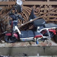 دراجة شحن • كهربائية